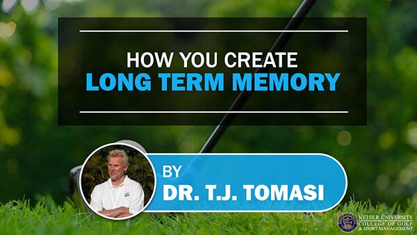 How You Create Long Term Memory