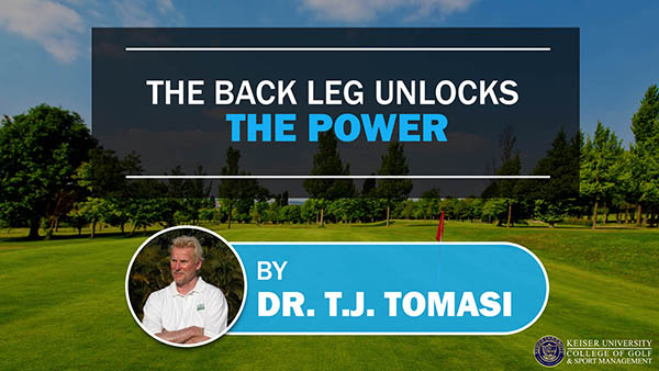 The Back Leg Unlocks the Power