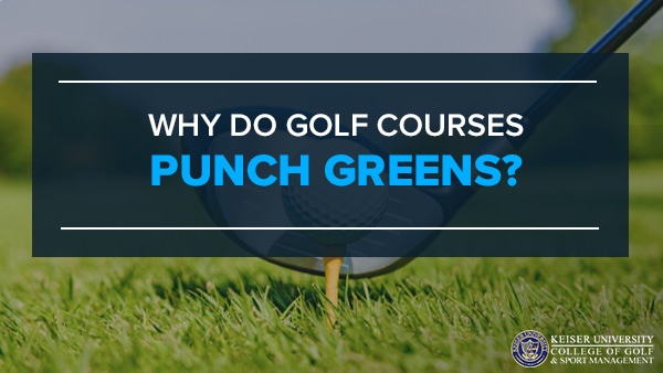 why do golf courses punch greens?