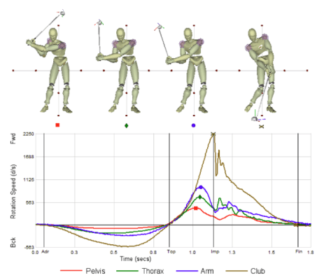 Kinematic Sequence Graph from Teaching Fundamentals by TJ Tomasi, Ph.D.